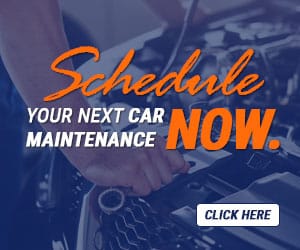 Schedule Now Button
